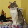 Отзыв от Гульнара Рудакова